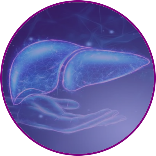 Bioanalysis services