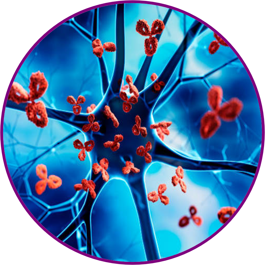 IMMUNOLOGY