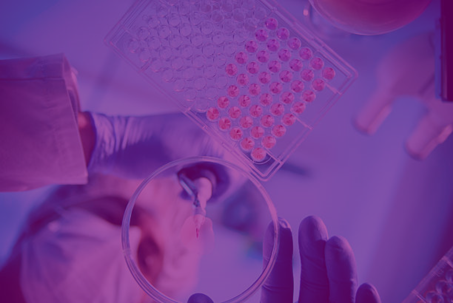 Release the potential of your research journey with Pharmidex as your premier partner in drug discovery. 