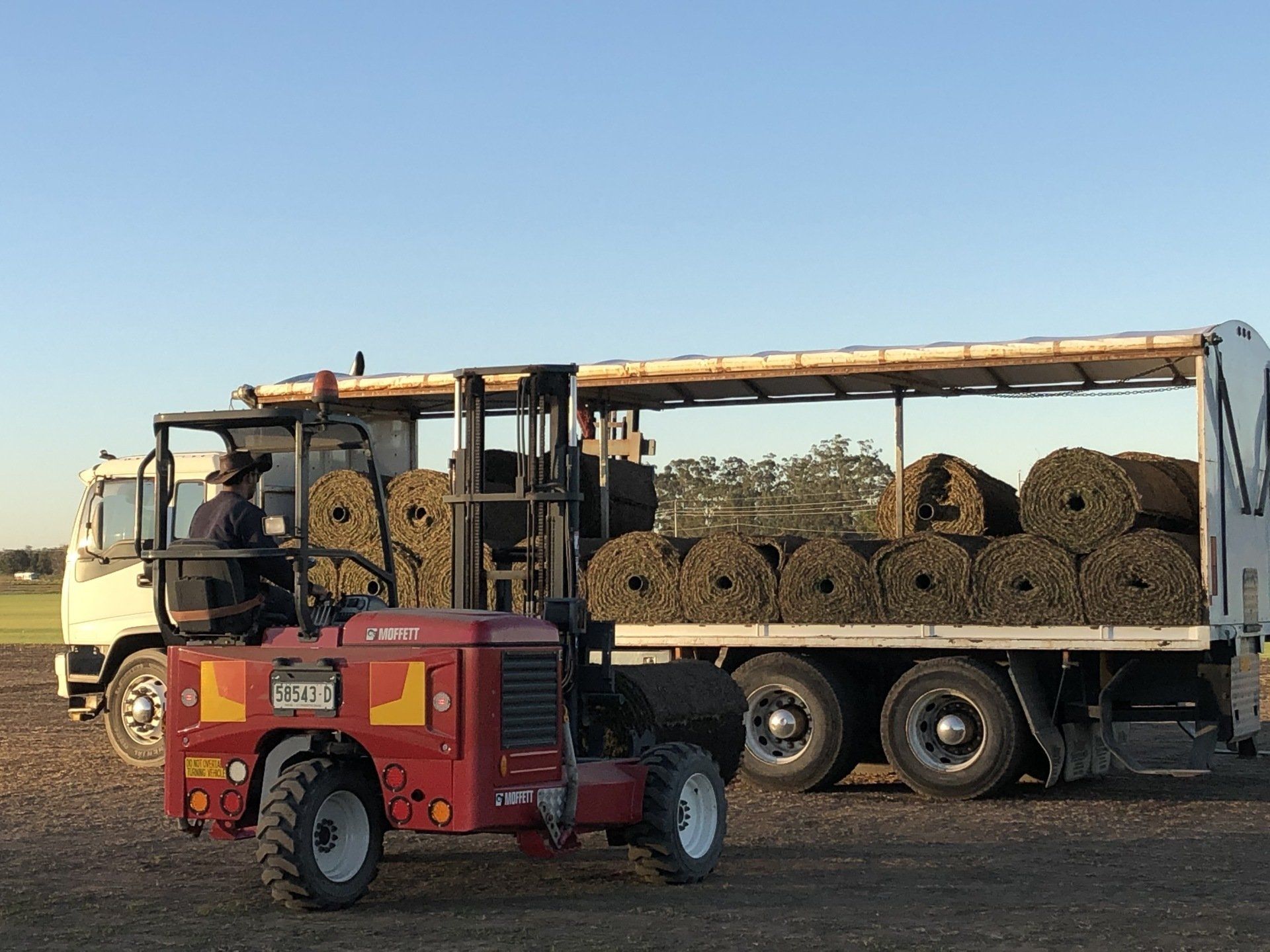 Landscaping Packages Sydney, NSW Rivers Edge Turf