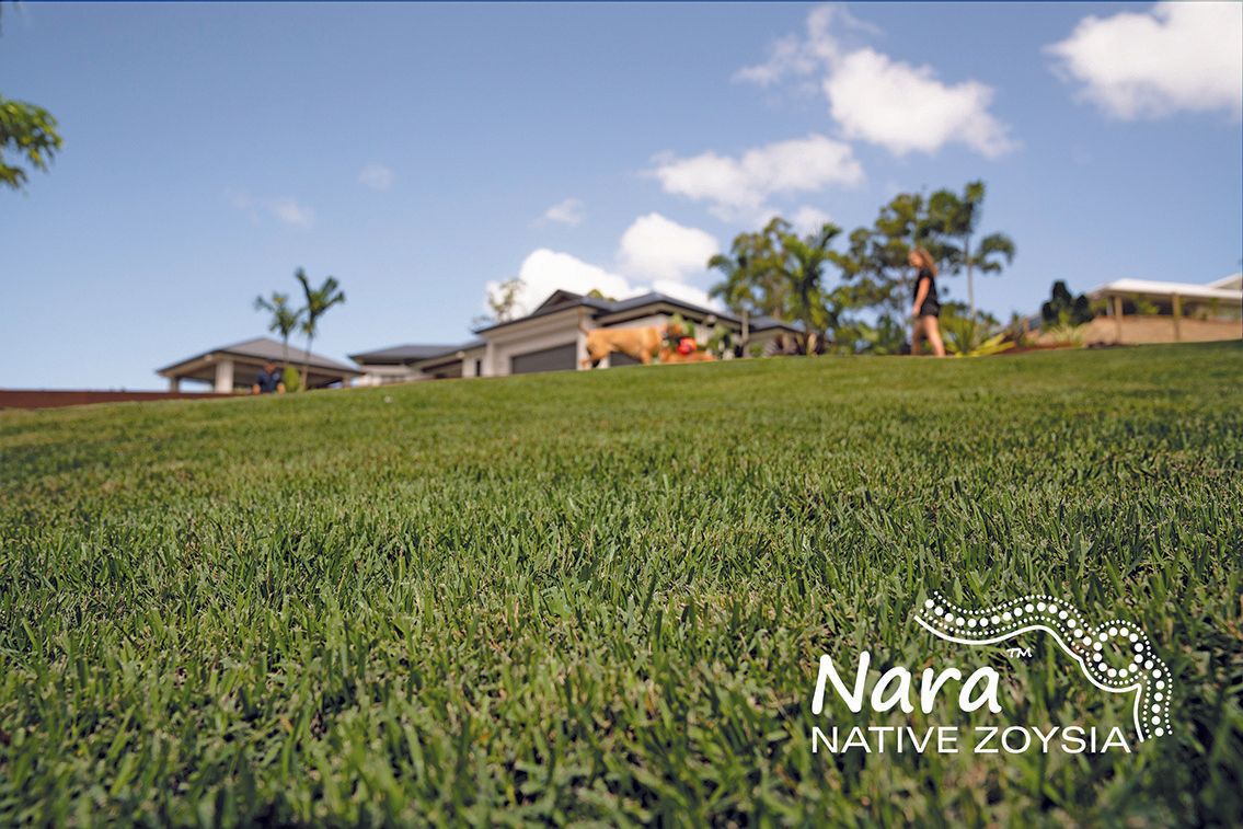 Nara Grass With Hand - Wilberforce NSW - Rivers Edge Turf