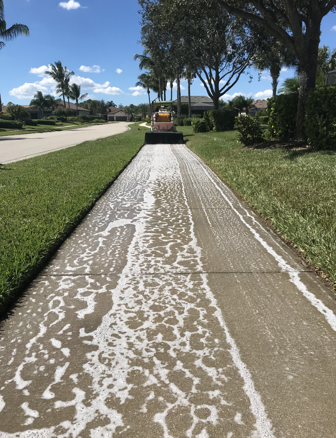 A collage of four pictures of a roof with trees in the background.