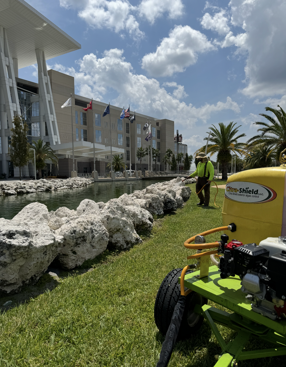 A collage of four pictures of a roof with trees in the background.