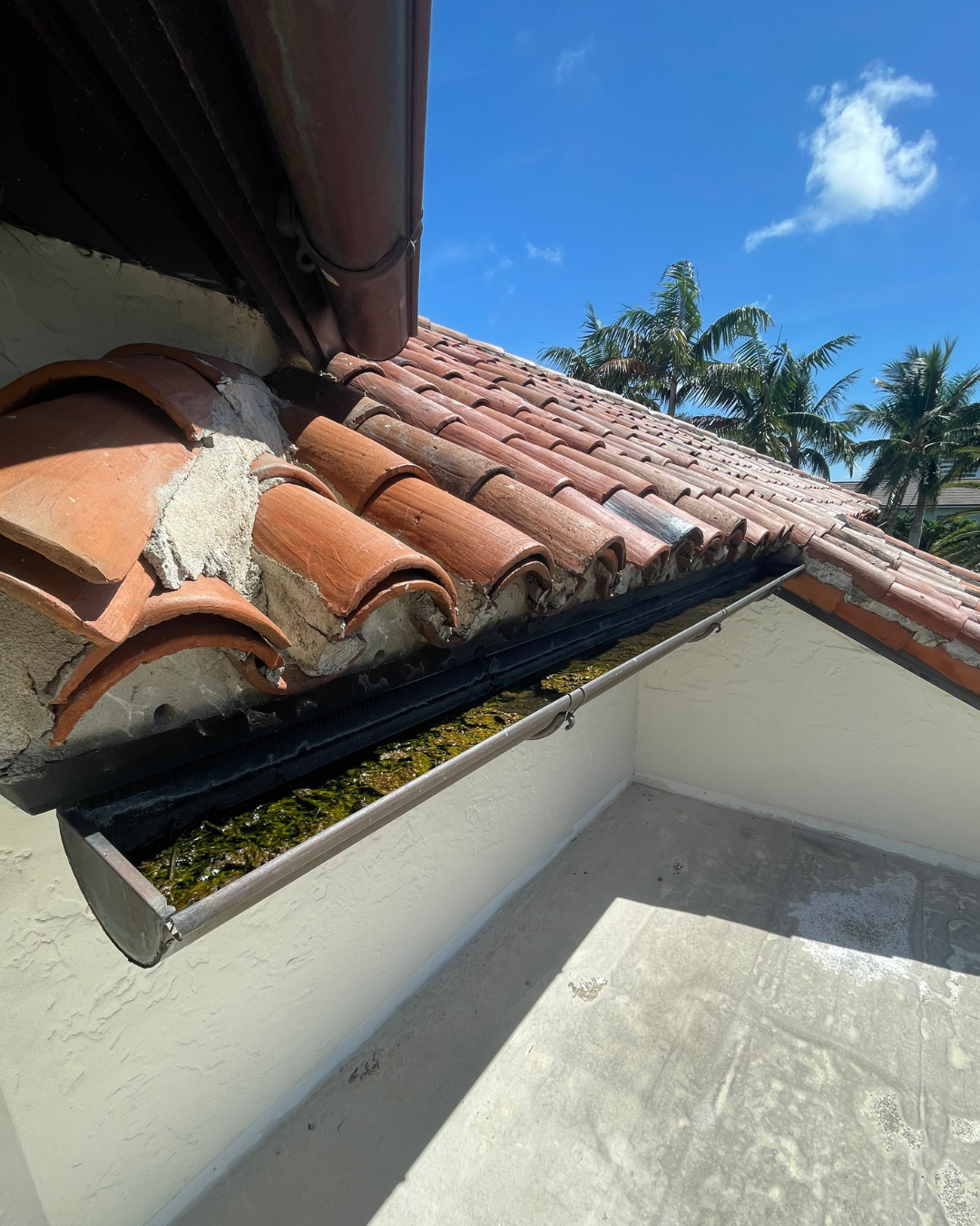 Gutter washing