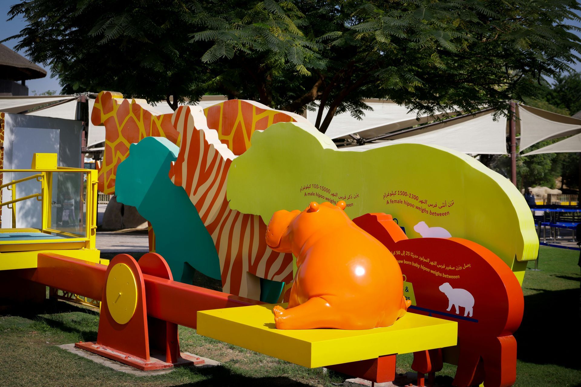 A collage of four pictures of a roof with trees in the background.