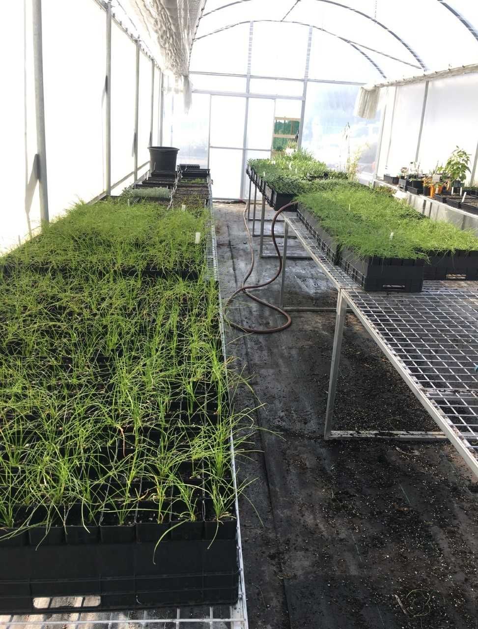 Sustainable Hydroseeding | HydroGrass | Surf Coast