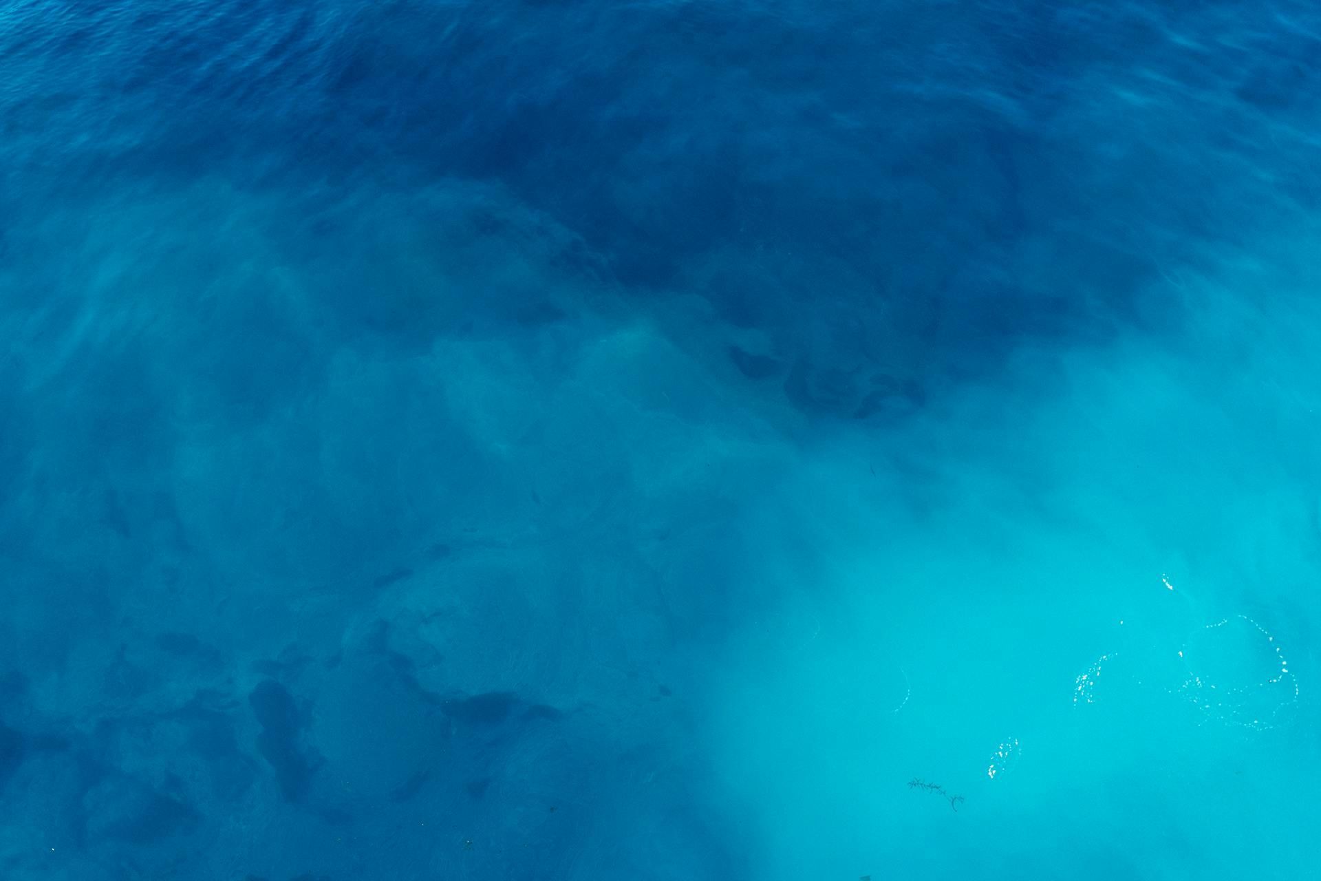 An aerial view of a swimming pool with a blue water surface.