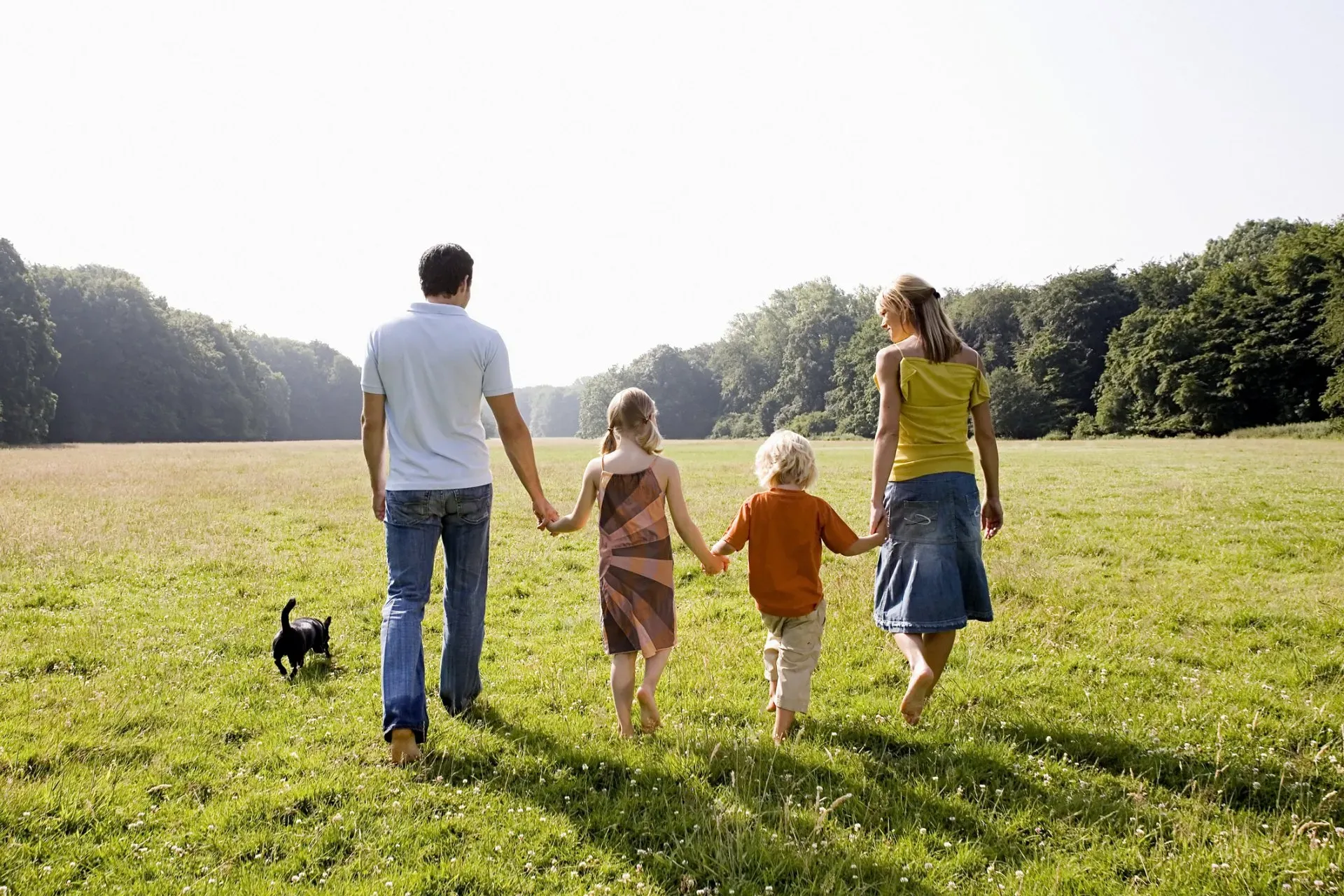 Family Law — Gallatin, TN — Harsh & Harsh