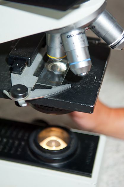 Eine Person schaut durch ein Olympus-Mikroskop