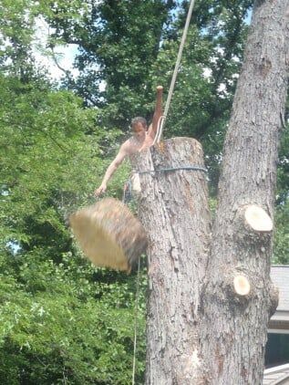 Man trimming the woods — tree care in Bethlehem, PA