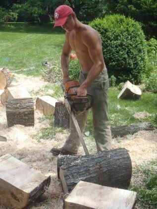 Removing stump — tree care in Bethlehem, PA