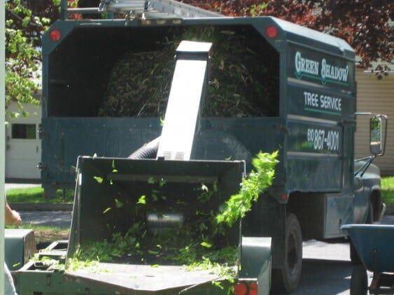 Company truck — tree care in Bethlehem, PA