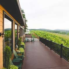 There is a large deck with a view of a vineyard.