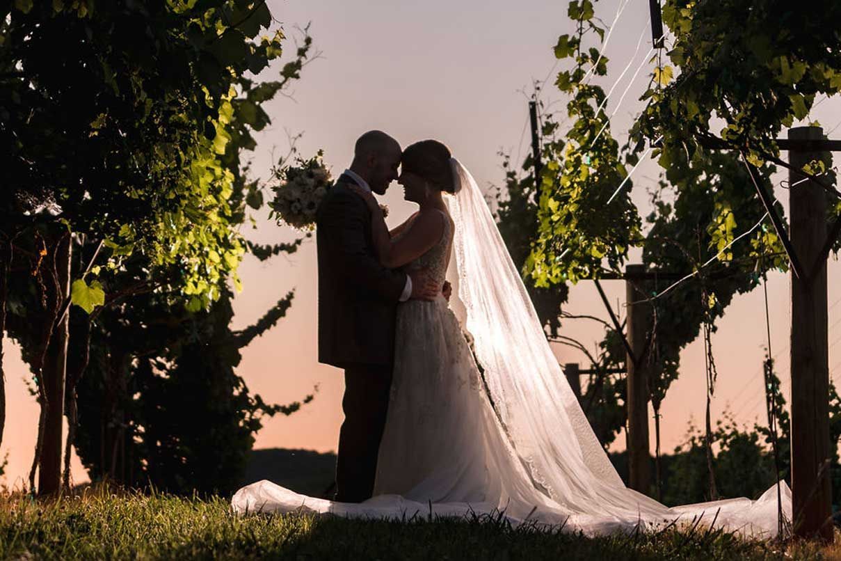 A bride and groom are kissing in a vineyard at sunset.