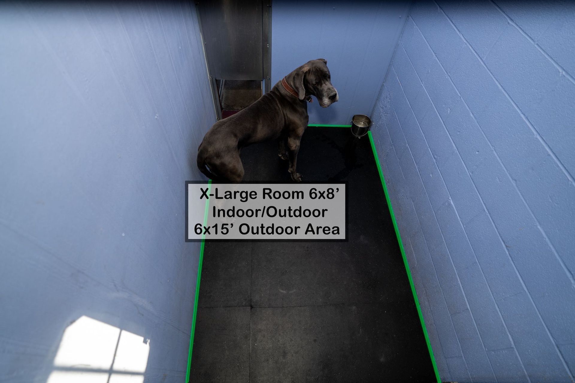 6x8 Indoor Kennel