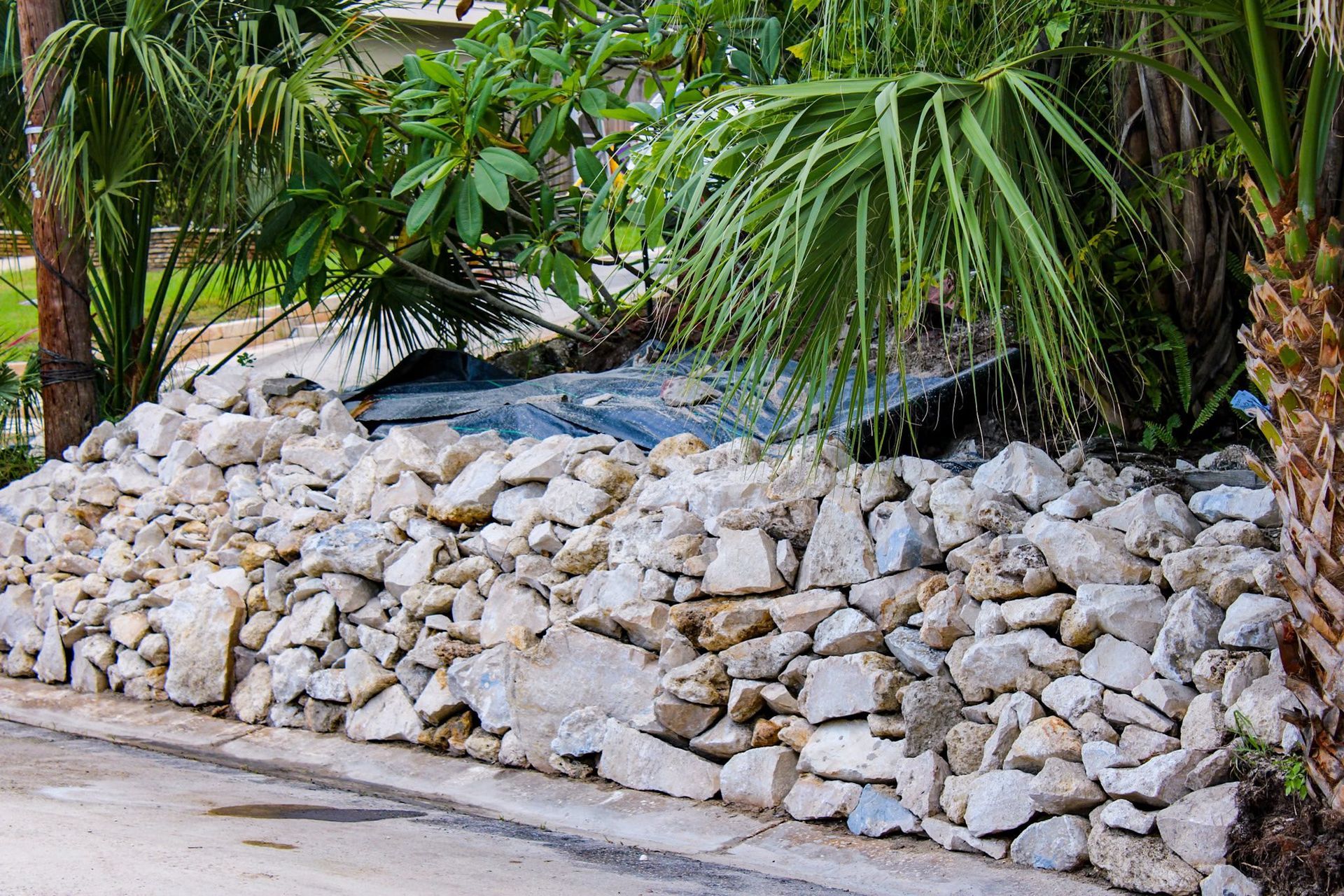 A low stone wall borders a walkway, with tropical plants in the background.
