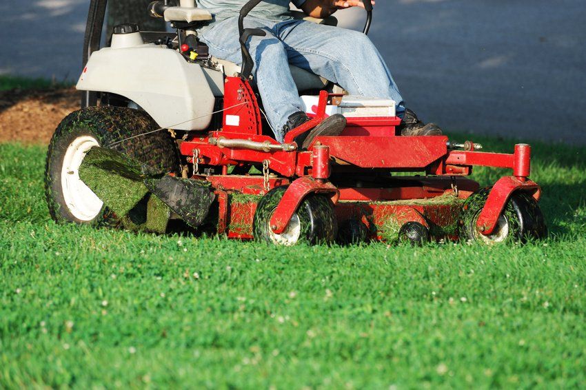 Yard Maintenance