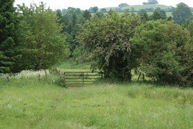 Open grassland - Balscote, Banbury - Balscote DIY Livery Stables - Grazing land