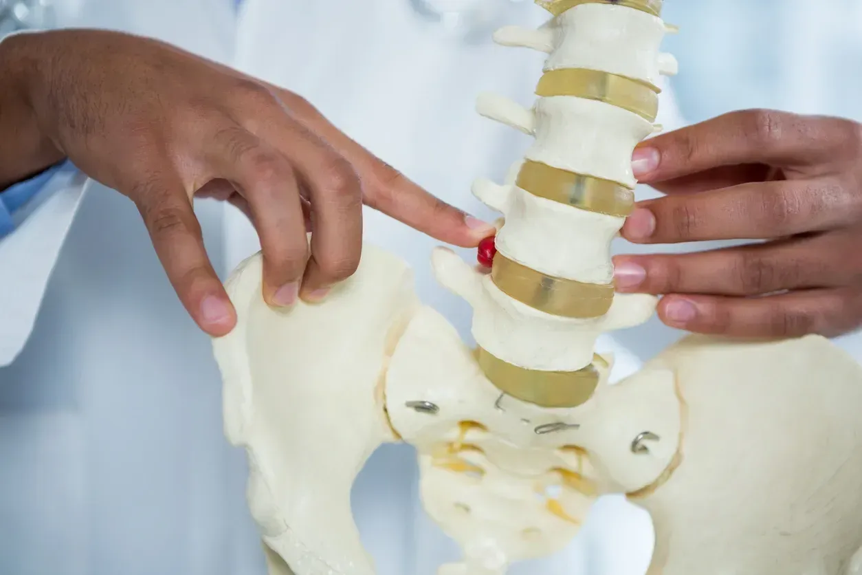 A doctor is pointing at a red spot on a model of the spine.