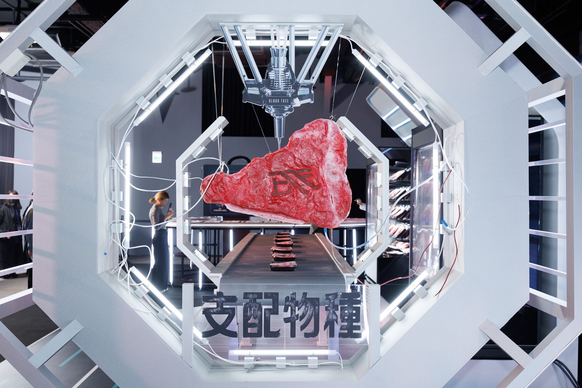 2024 Disney+《支配物種》「跨海連線」粉絲見面會