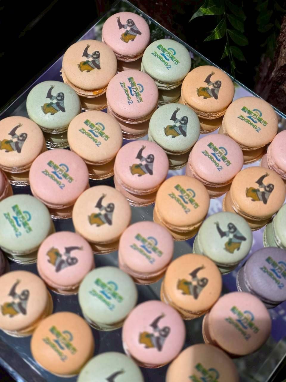 2025華航彩繪機首航活動