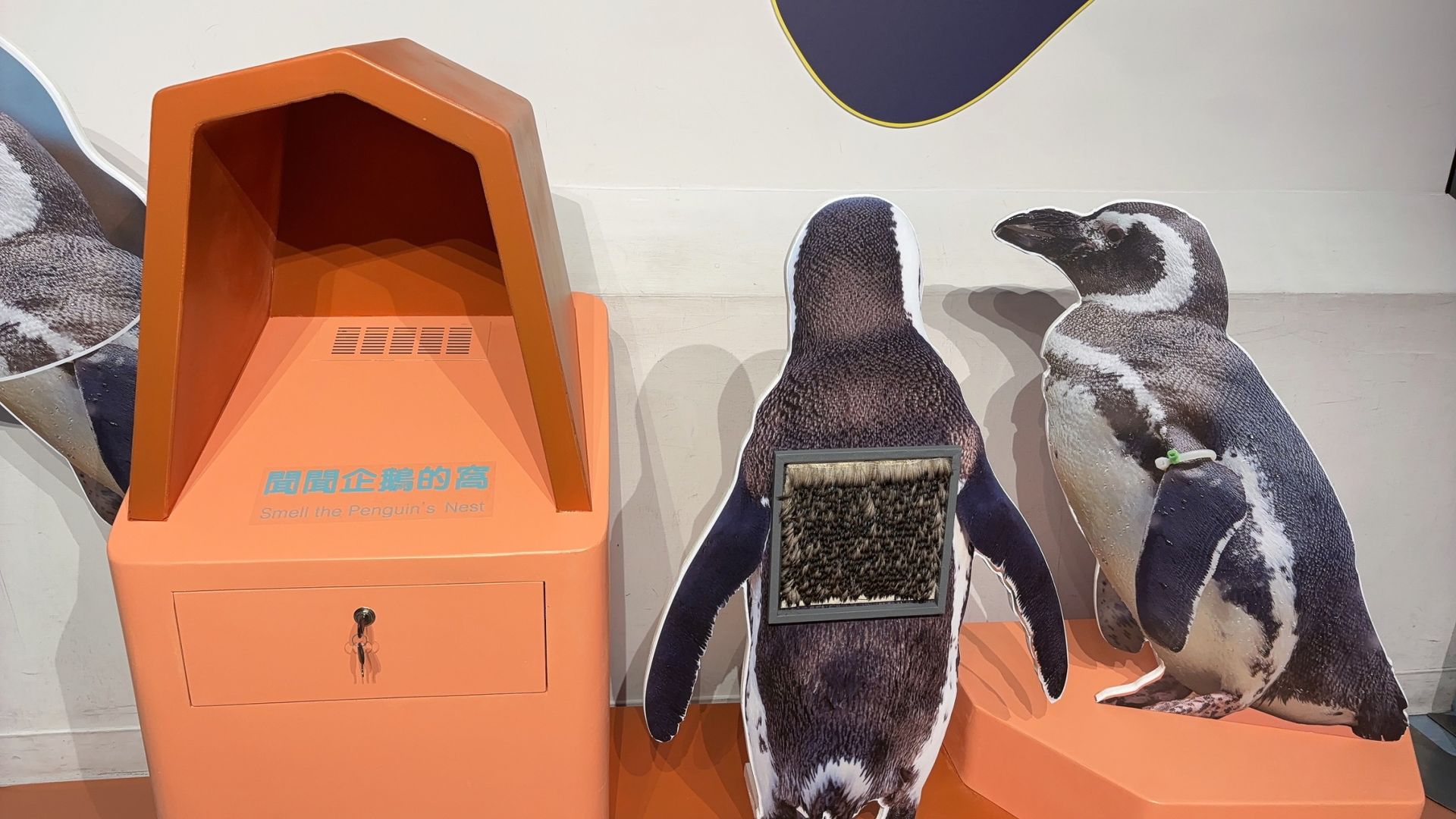 2026 Xpark 《原來如此！！你所不知道的Xpark》