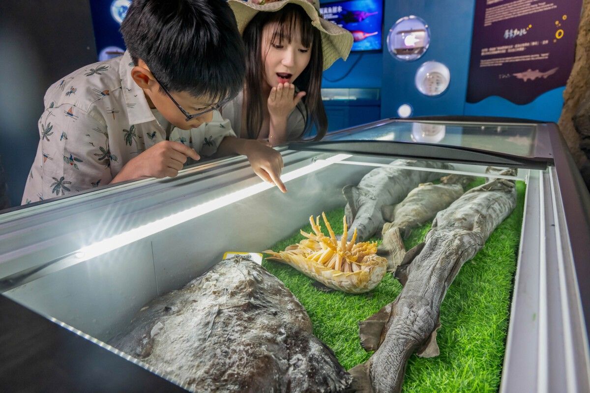 2026 Xpark 《原來如此！！你所不知道的Xpark》