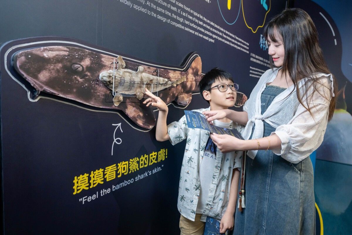 2026 Xpark 《原來如此！！你所不知道的Xpark》