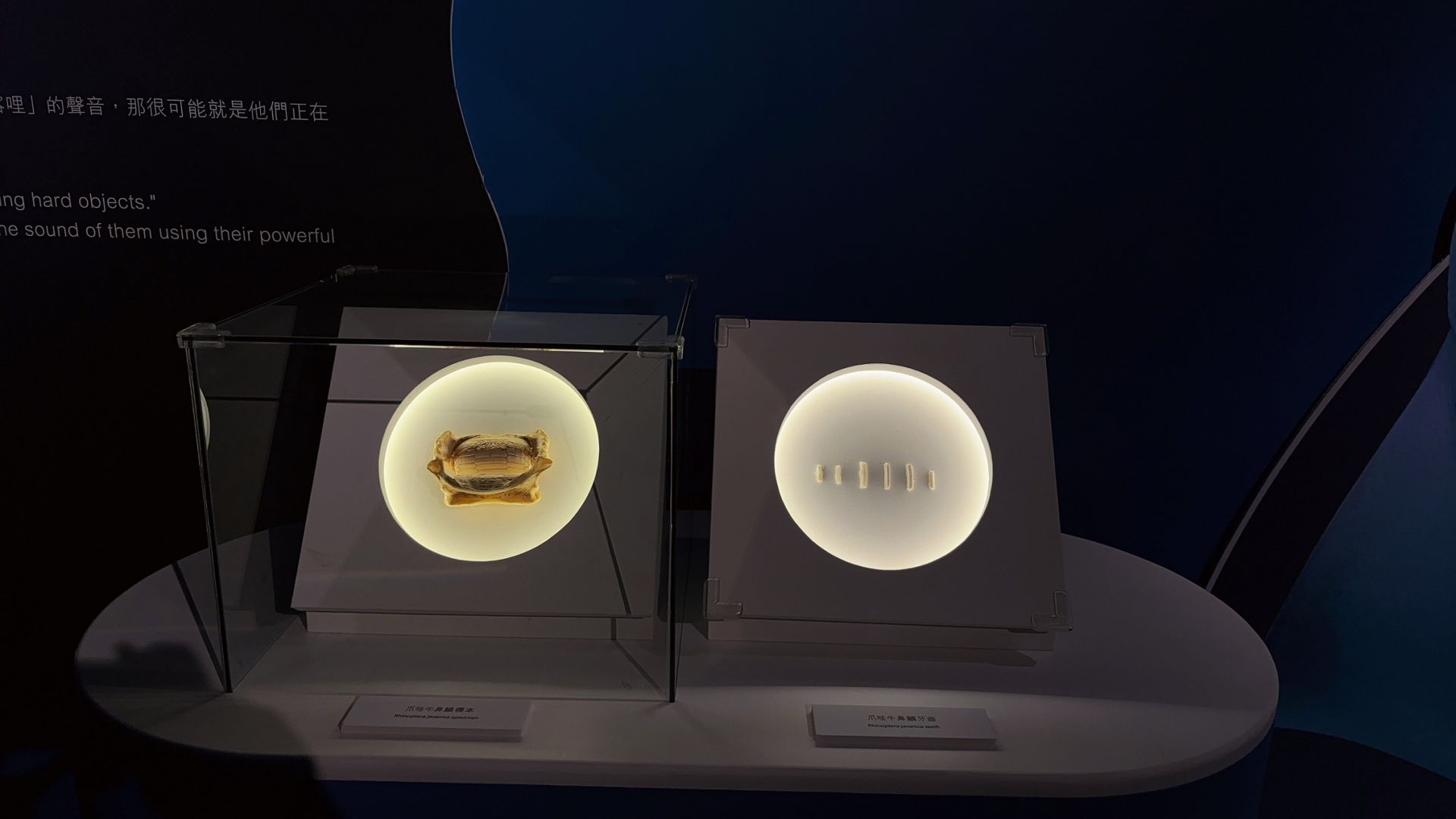 2026 Xpark 《原來如此！！你所不知道的Xpark》