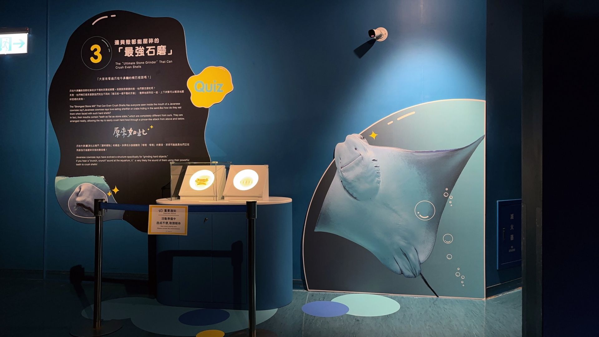 2026 Xpark 《原來如此！！你所不知道的Xpark》