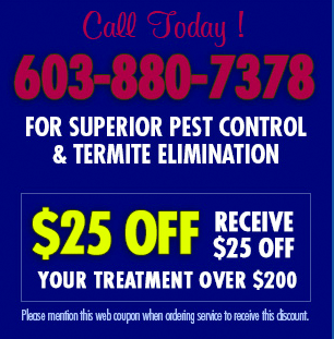Pest Control Hudson, NH Discount