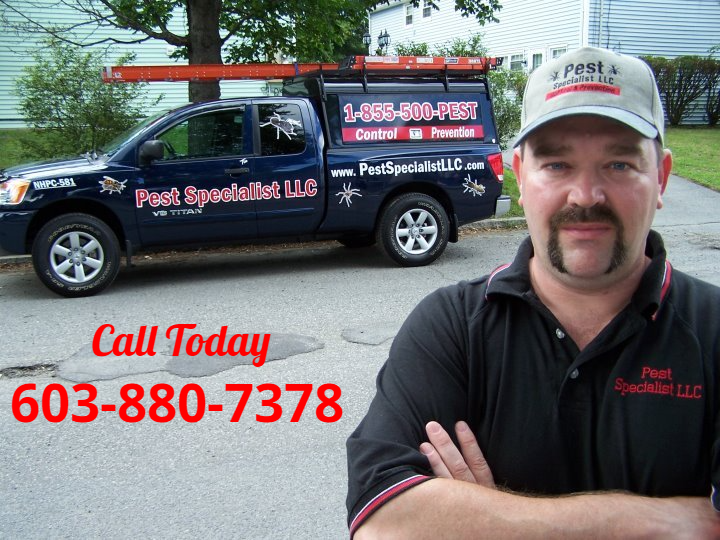 Pest Control Hudson NH