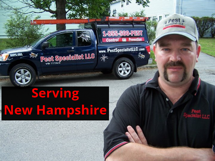 Pest Control in New Hampshire