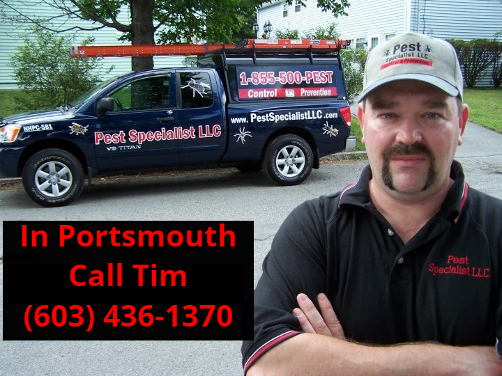 Pest Control Portsmouth, NH