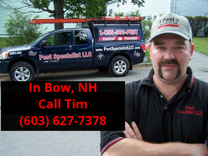 Pest Control Bow, NH