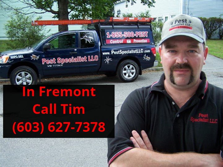 Pest Control Fremont, NH by Pest Specialist