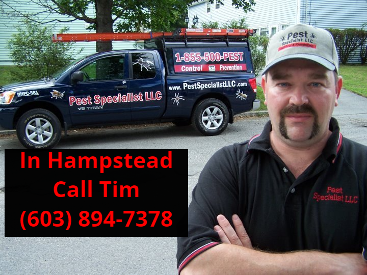 Pest Control Hampstead, NH by Pest Specialist