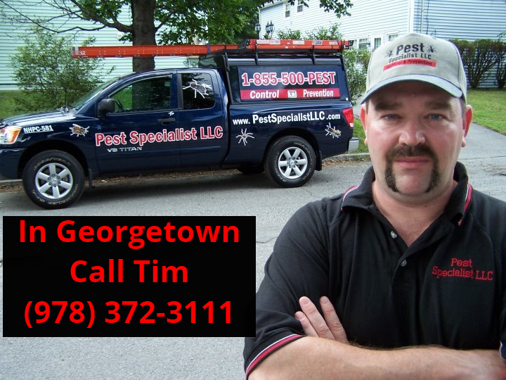 Pest Control Georgetown, MA by Pest Specialist