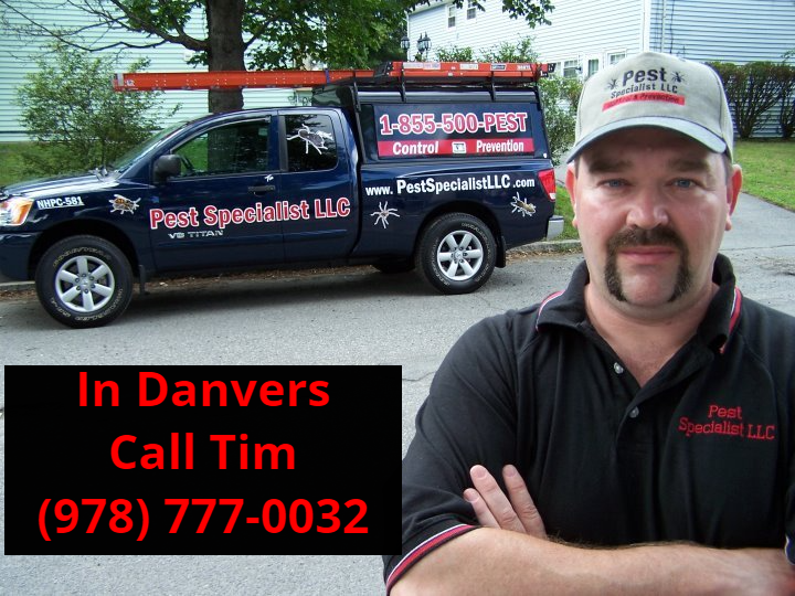 Pest Control Danvers, MA by Pest Specialist