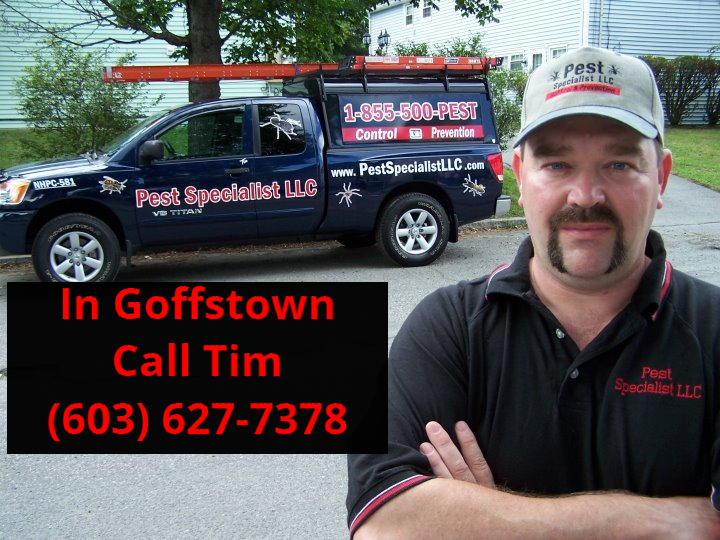 Pest Control Goffstown, NH by Pest Specialist