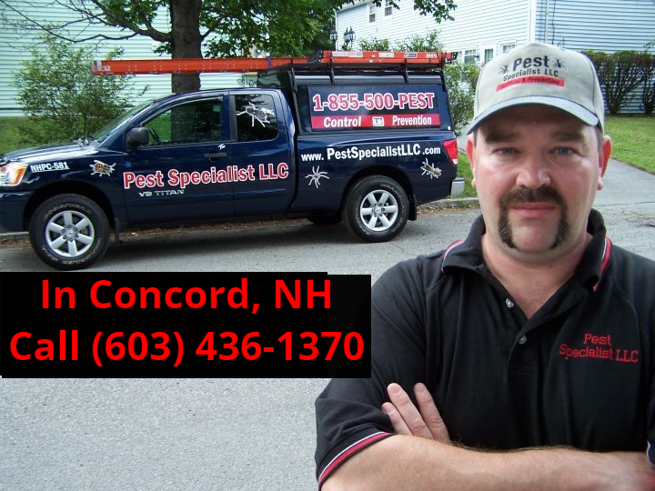 Pest Control Concord, NH