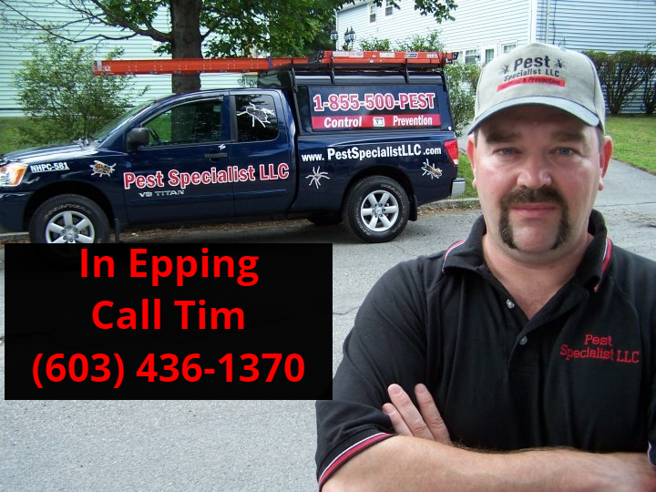 Pest Control Epping, NH by Pest Specialist