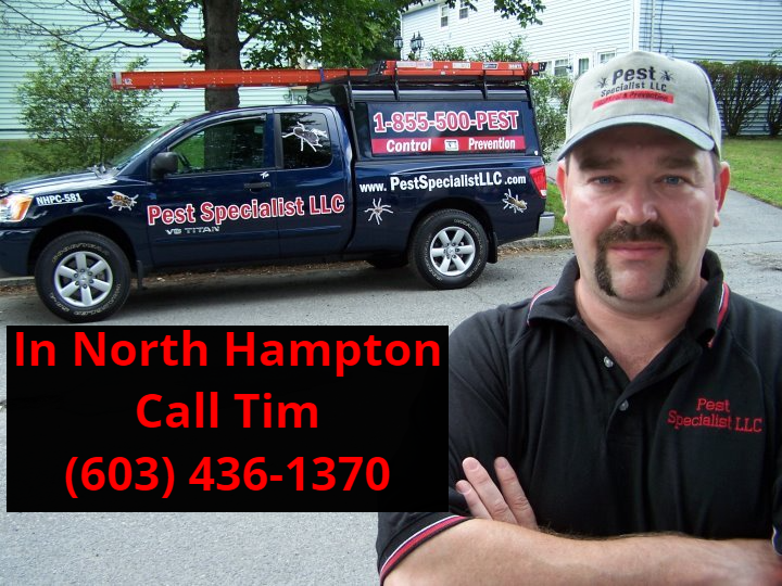 Pest Control North Hampton, NH by Pest Specialist