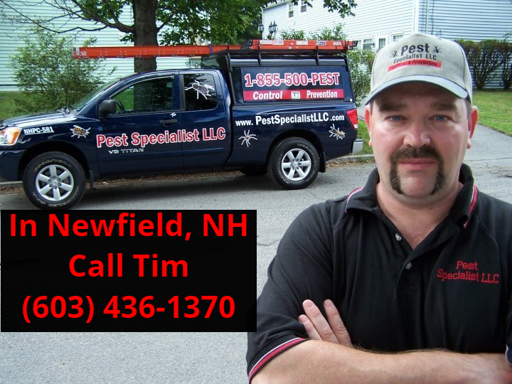 Pest Control Newfield, NH
