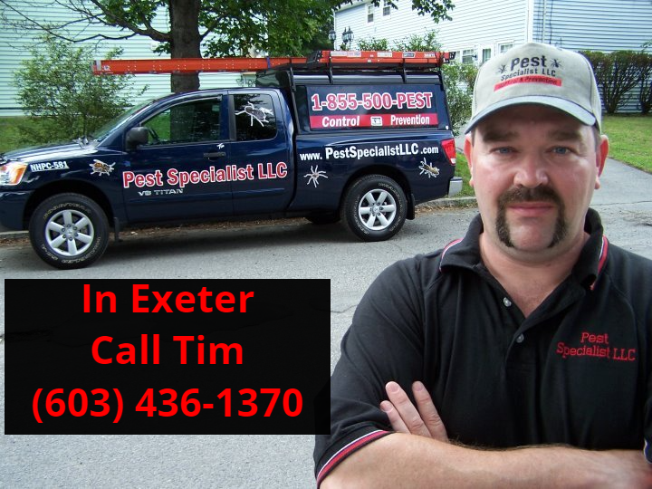 Pest Control Exeter NH by Pest Specialist