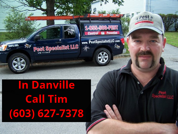 Pest Control Danville, NH by Pest Specialist