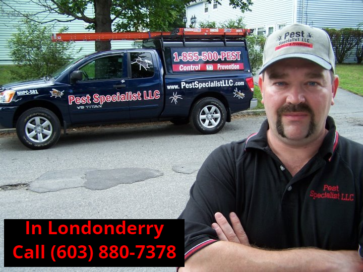 Pest Control Londonderry, NH