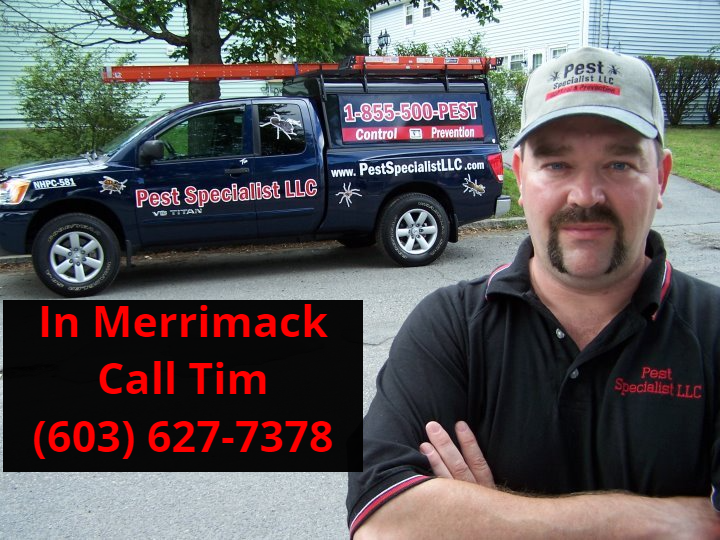 Pest Control Merrimack, NH by Pest Specialist