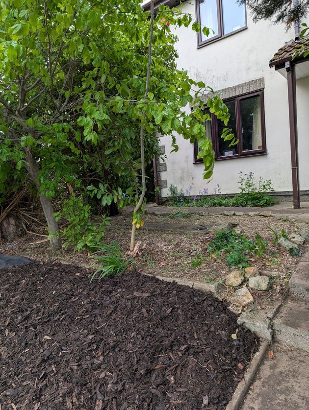 BBF Services | Garden Tidy Up