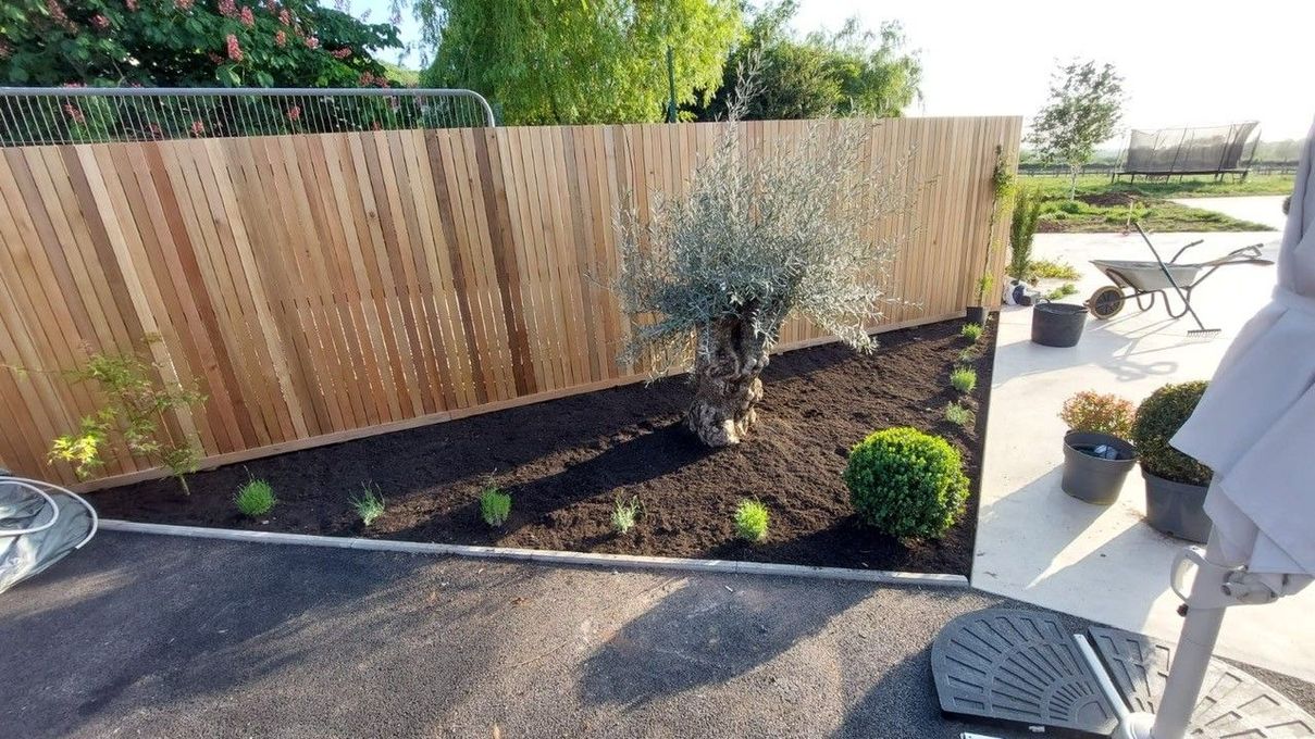 BBF Services | Unique Garden Design